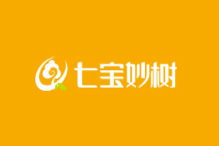 七宝妙树“功守妙果”每日坚果酥 加盟造富与平台赋能的双重密码