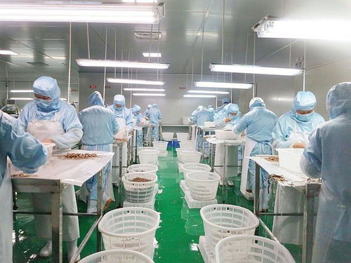 毫无人性 食品加工厂员工染上冠状病毒,仍被强制要求上班